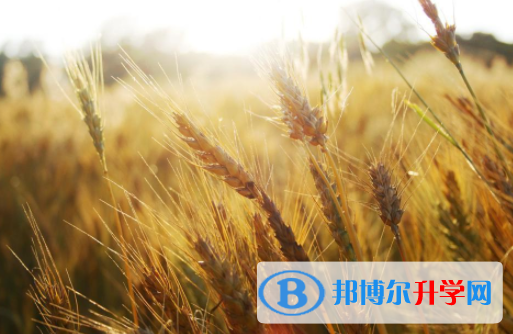 自貢2021年中考緊張怎么辦