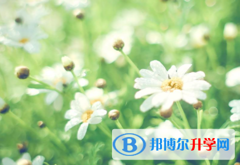 自貢2021年沒有學籍可以參加中考嗎