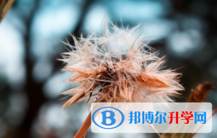 自貢2021年如果中考沒考上讀什么好