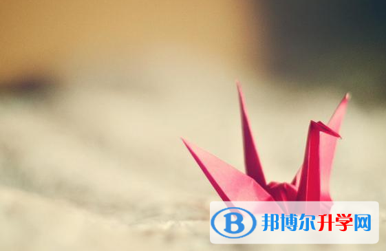 自貢2021年中考模擬填報志愿