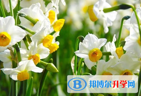自貢2021年中考調劑志愿
