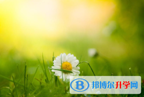 攀枝花2021年中考報(bào)名網(wǎng)