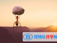 攀枝花2021年中考上的學(xué)校