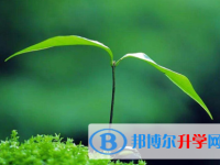 攀枝花2021年中考升學(xué)錄取比例