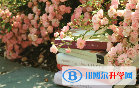 攀枝花2021年中考網(wǎng)絡(luò)平臺