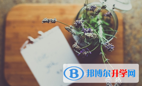 攀枝花2021年中考網(wǎng)上報考信息平臺