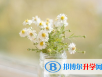 攀枝花2021年中考后計(jì)劃