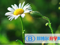 攀枝花2021年中考考試說(shuō)明