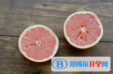攀枝花2021年中考453可以讀哪些學校