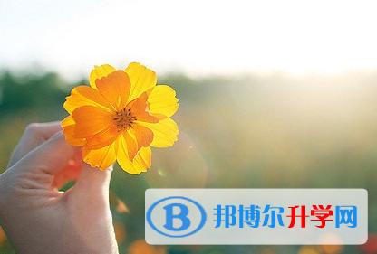攀枝花2021年中考網(wǎng)絡(luò)應(yīng)用服務(wù)平臺(tái)登錄