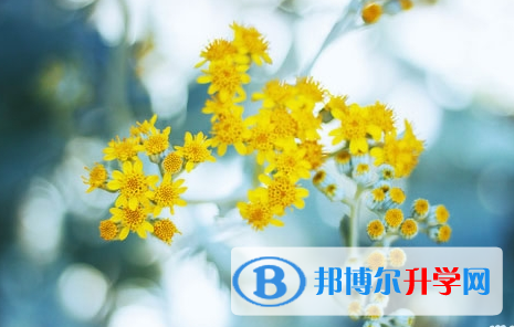 瀘州2021年中考成績(jī)什么時(shí)間知道