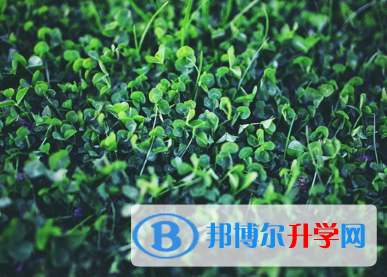 瀘州2021年中考報名號