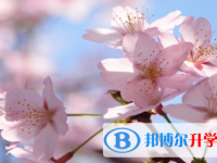 瀘州2021年中考網上報考信息平臺