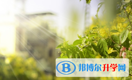 瀘州2021年中考線是好多