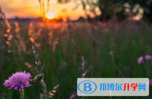瀘州2021年中考報名網站是什么