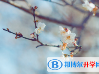 德陽2021年查詢中考成績上哪個(gè)網(wǎng)站