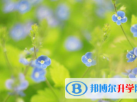 德陽2021年網(wǎng)上查詢中考成績