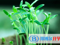 德陽2021年網(wǎng)上查詢中考成績?cè)趺床樵? /><b>德陽2021年網(wǎng)上查詢中考成績?cè)趺床樵?/b><span>2021-07-07 14:07</span><p>其實(shí)查詢中考成績的方法有很多，但是大家要根據(jù)自己的實(shí)際情況來選擇合適的。前提是要在正式分?jǐn)?shù)公布以后，不然你怎么查都是查不</p></a></h3></li>
            <li><h3><a href=