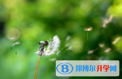 德陽2021年中考報(bào)名查詢
