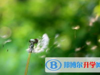 德陽2021年中考報(bào)名查詢