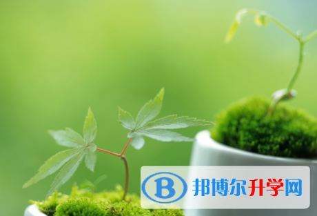 德陽(yáng)2021年中考查詢成績(jī)網(wǎng)址