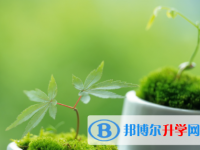德陽2021年中考查詢成績網(wǎng)址