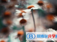 德陽2021年中考查詢系統(tǒng)
