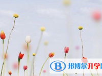 德陽2021年中考成績查詢?nèi)肟? /><b>德陽2021年中考成績查詢?nèi)肟?/b><span>2021-07-07 15:30</span><p>中考結(jié)束之后，我們要時(shí)刻關(guān)注中考相關(guān)資訊，中考成績出來前，大家對(duì)以后的選擇也不能是未知數(shù)，大家子在中考后就要為自己好好的</p></a></h3></li>
            <li><h3><a href=