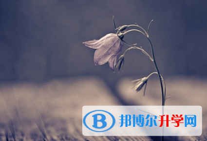 德陽2021年中考錄取查詢入口