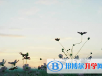 德陽2021年中考網(wǎng)上報(bào)名