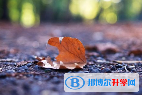 德陽(yáng)2021年中考網(wǎng)上模擬報(bào)名