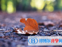 德陽2021年中考網(wǎng)上模擬報(bào)名