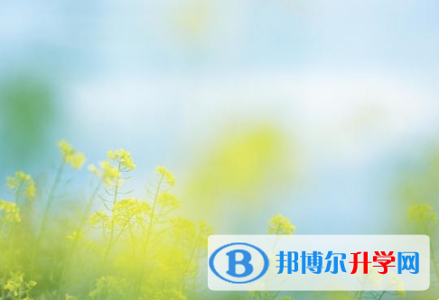 德陽2021年中考網(wǎng)上報(bào)名系統(tǒng)