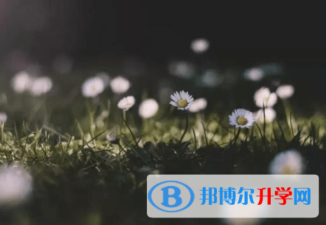 德陽2021年中考網上查詢
