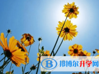 德陽2021年中考網(wǎng)中考查詢