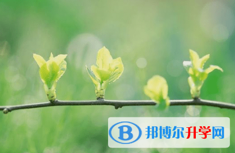 德陽2021年中考是什么時候