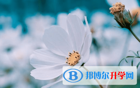 德陽(yáng)2021年中考如果未被錄取怎么辦