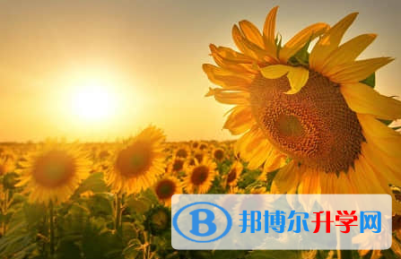 德陽2021年中考焦慮怎么辦