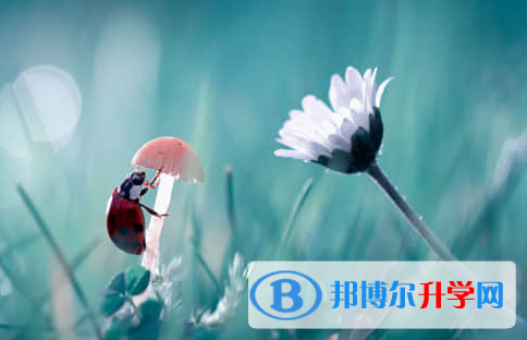 德陽(yáng)2021年中考報(bào)名自薦信怎么寫