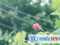 德陽2021年中考453可以讀哪些學校