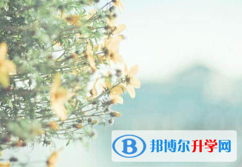 德陽(yáng)2021年怎樣才能參加中考