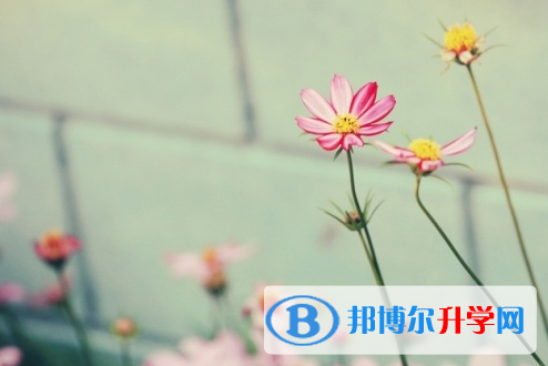 德陽2021年如果中考沒考上讀什么好