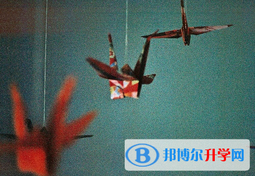 德陽(yáng)2021年什么是中考調(diào)劑生