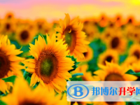 德陽2021年中考報(bào)名是哪個(gè)網(wǎng)站