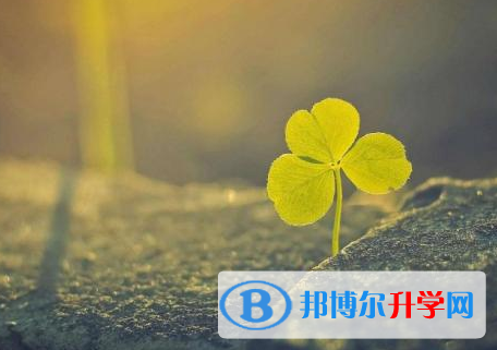 綿陽2021年網(wǎng)上查詢中考成績