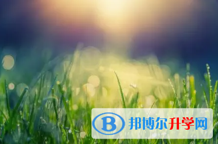 綿陽2021年教育網中考查詢