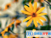 綿陽2021年歷年中考重點