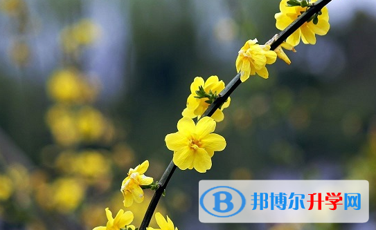 綿陽2021年中考報(bào)考人數(shù)