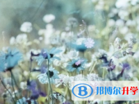 綿陽2021年中考報名號