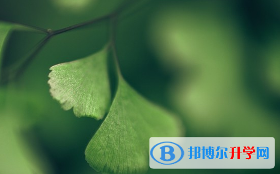 綿陽2021年中考查詢
